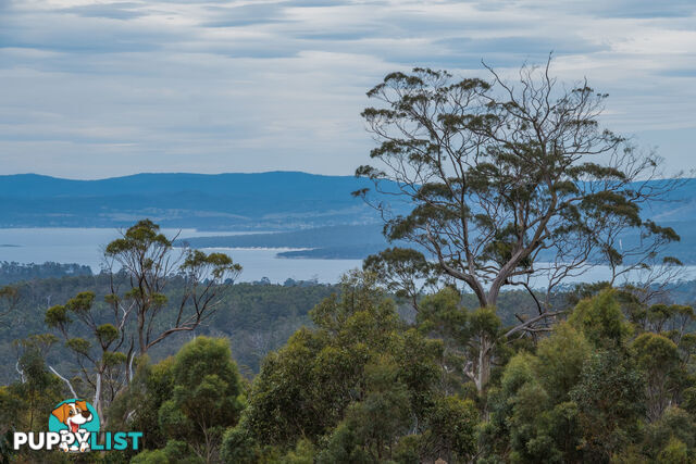 990/ Roaring Beach Road NUBEENA TAS 7184