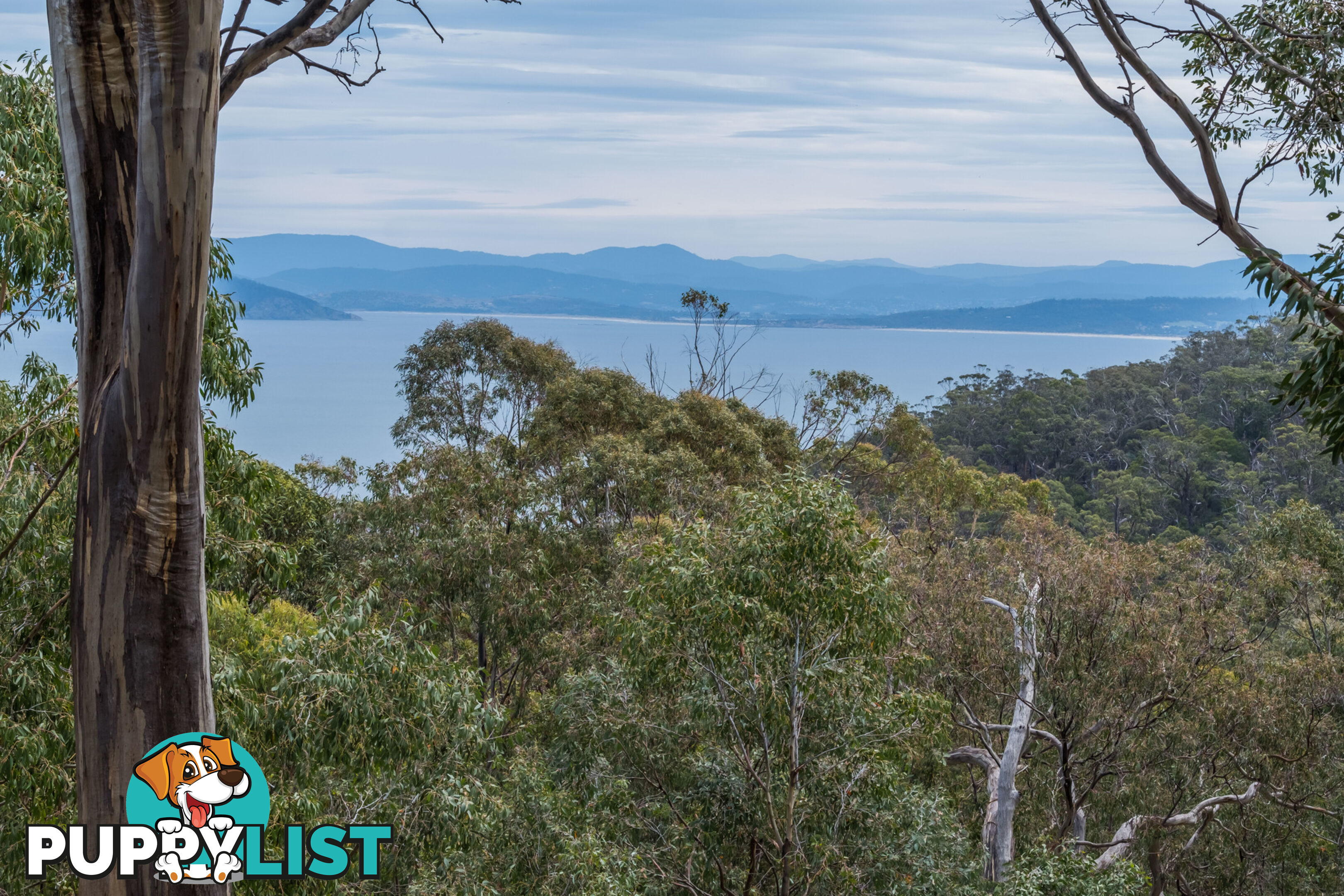 990/ Roaring Beach Road NUBEENA TAS 7184