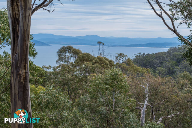 990/ Roaring Beach Road NUBEENA TAS 7184