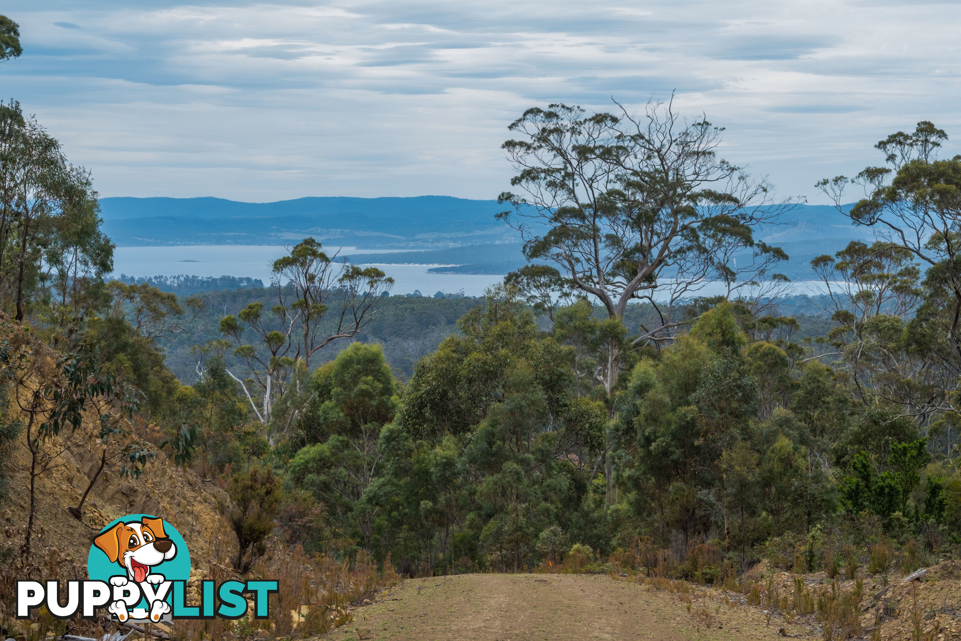 990/ Roaring Beach Road NUBEENA TAS 7184