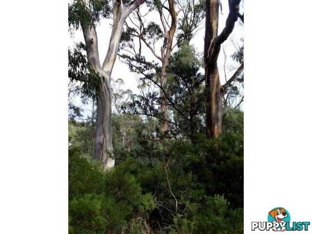 Roaring Beach Road NUBEENA TAS 7184