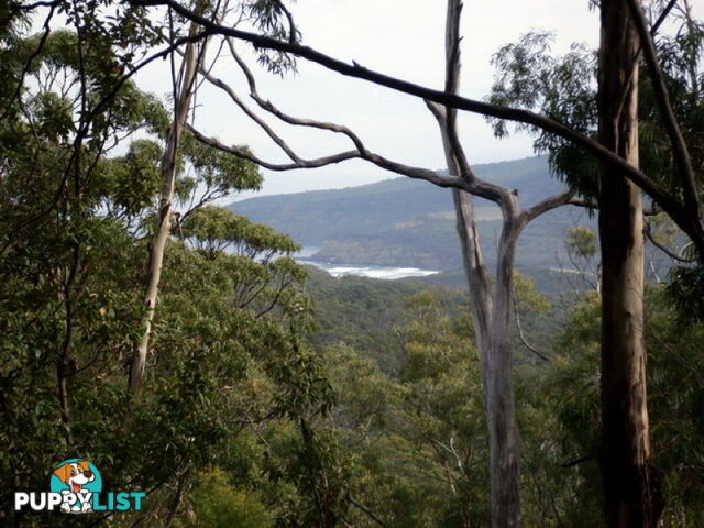 Roaring Beach Road NUBEENA TAS 7184