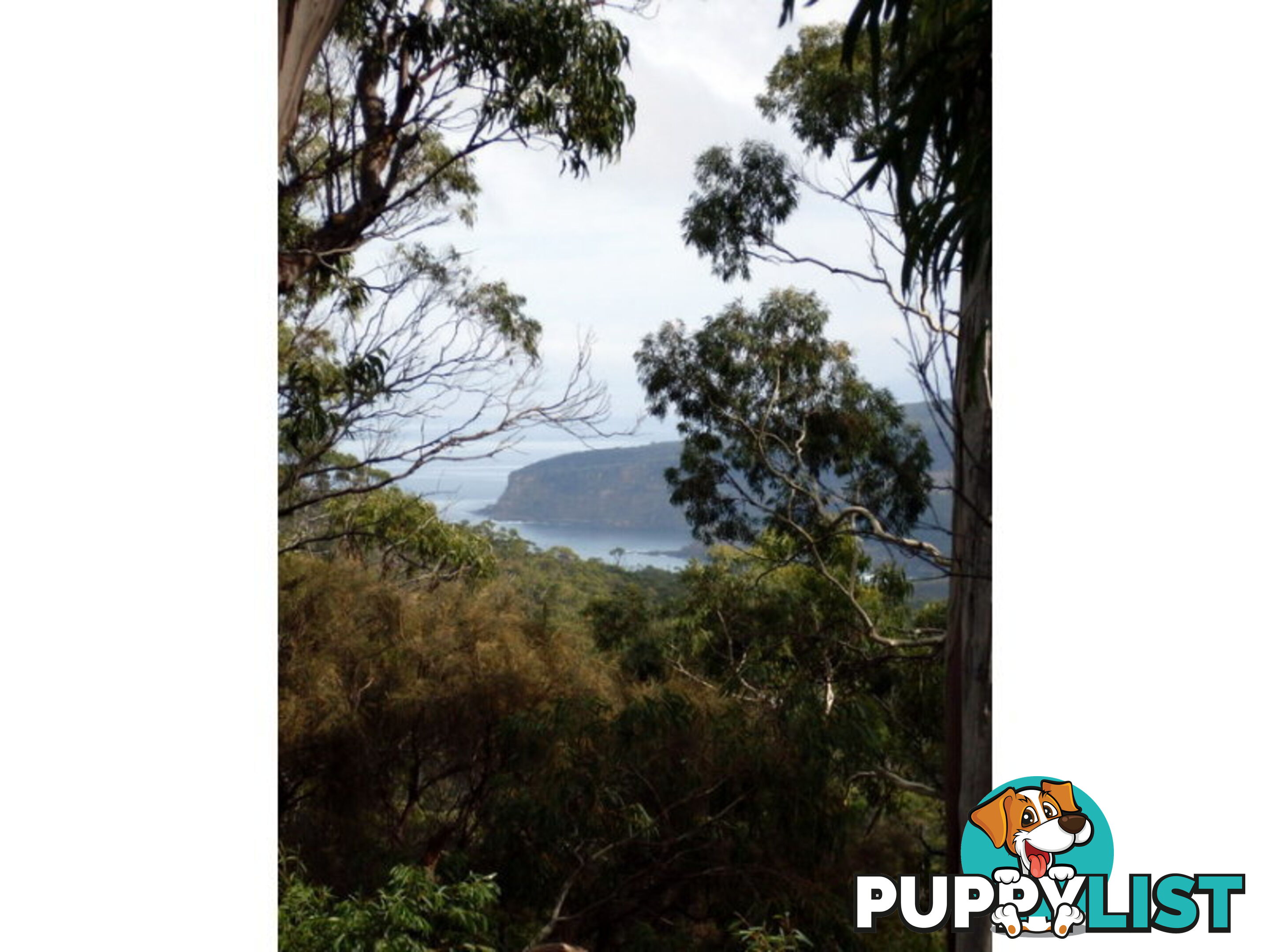 Roaring Beach Road NUBEENA TAS 7184