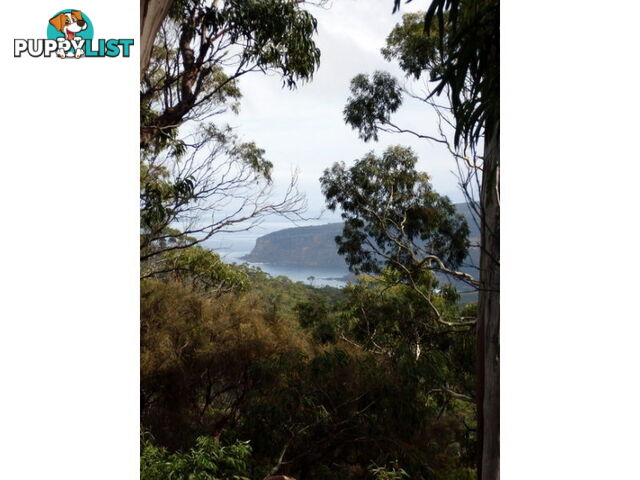 Roaring Beach Road NUBEENA TAS 7184