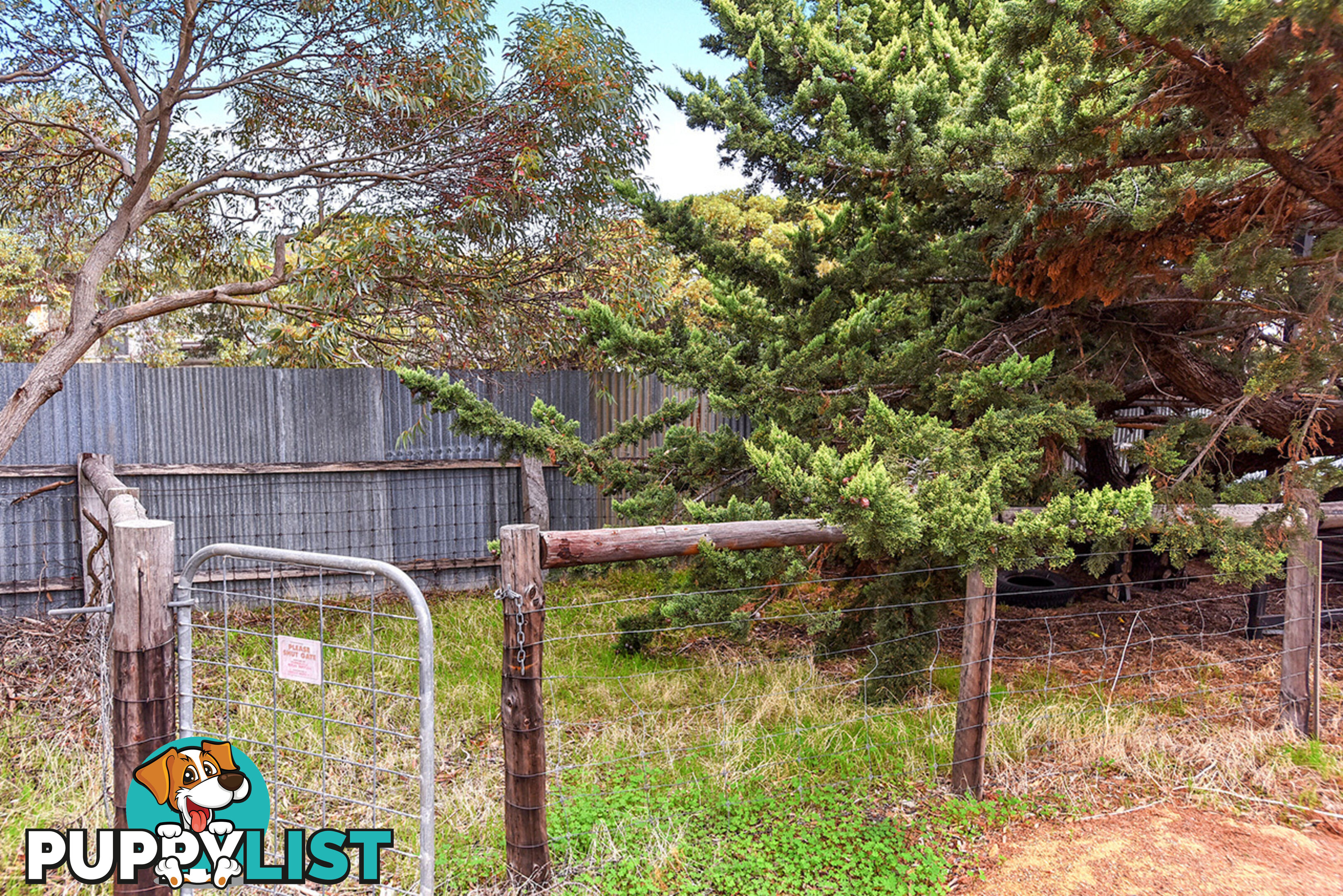 31 Fleurieu Avenue Cape Jervis SA 5204