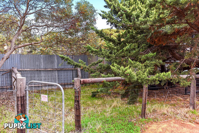 31 Fleurieu Avenue Cape Jervis SA 5204