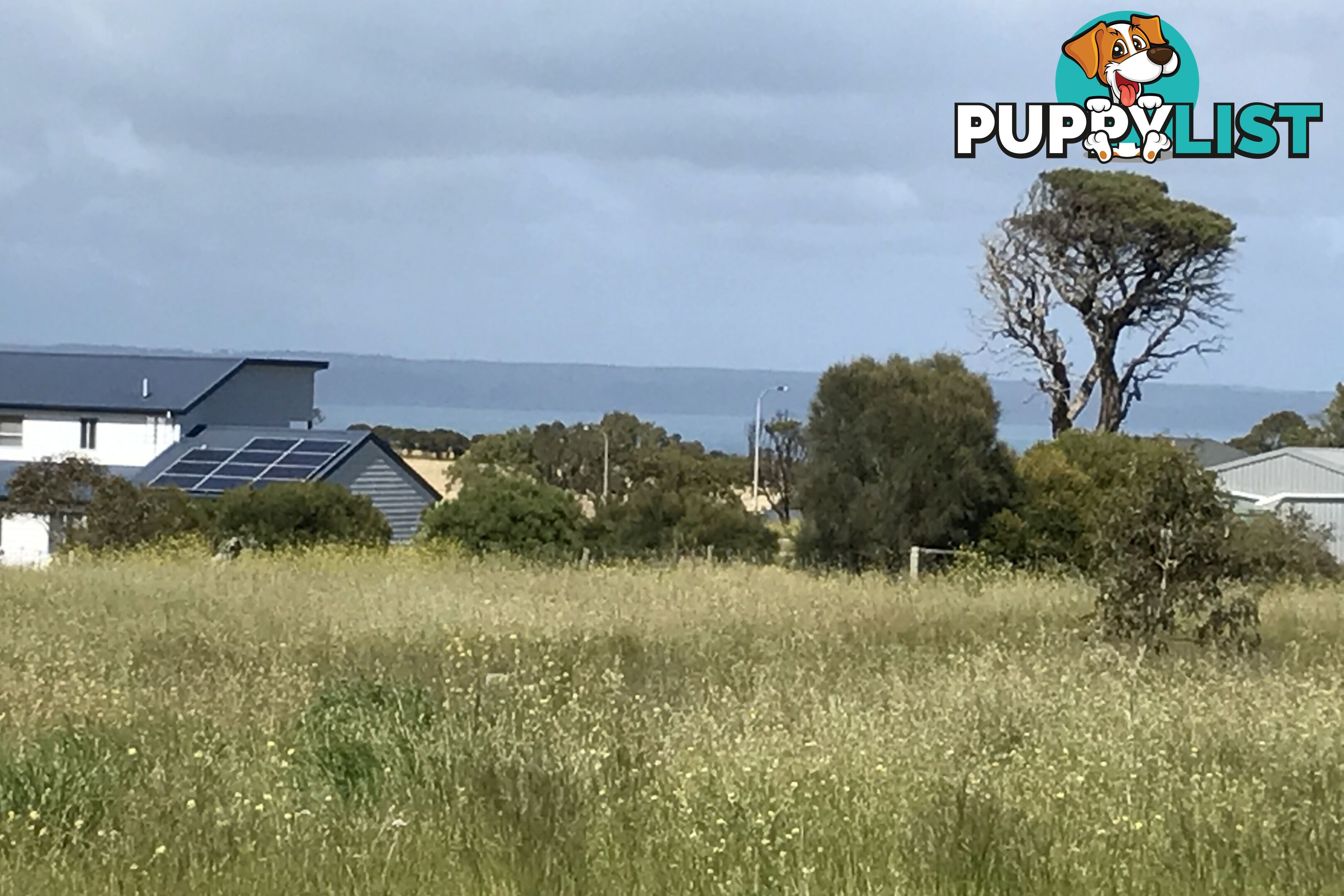 1 Coastview Close Cape Jervis SA 5204