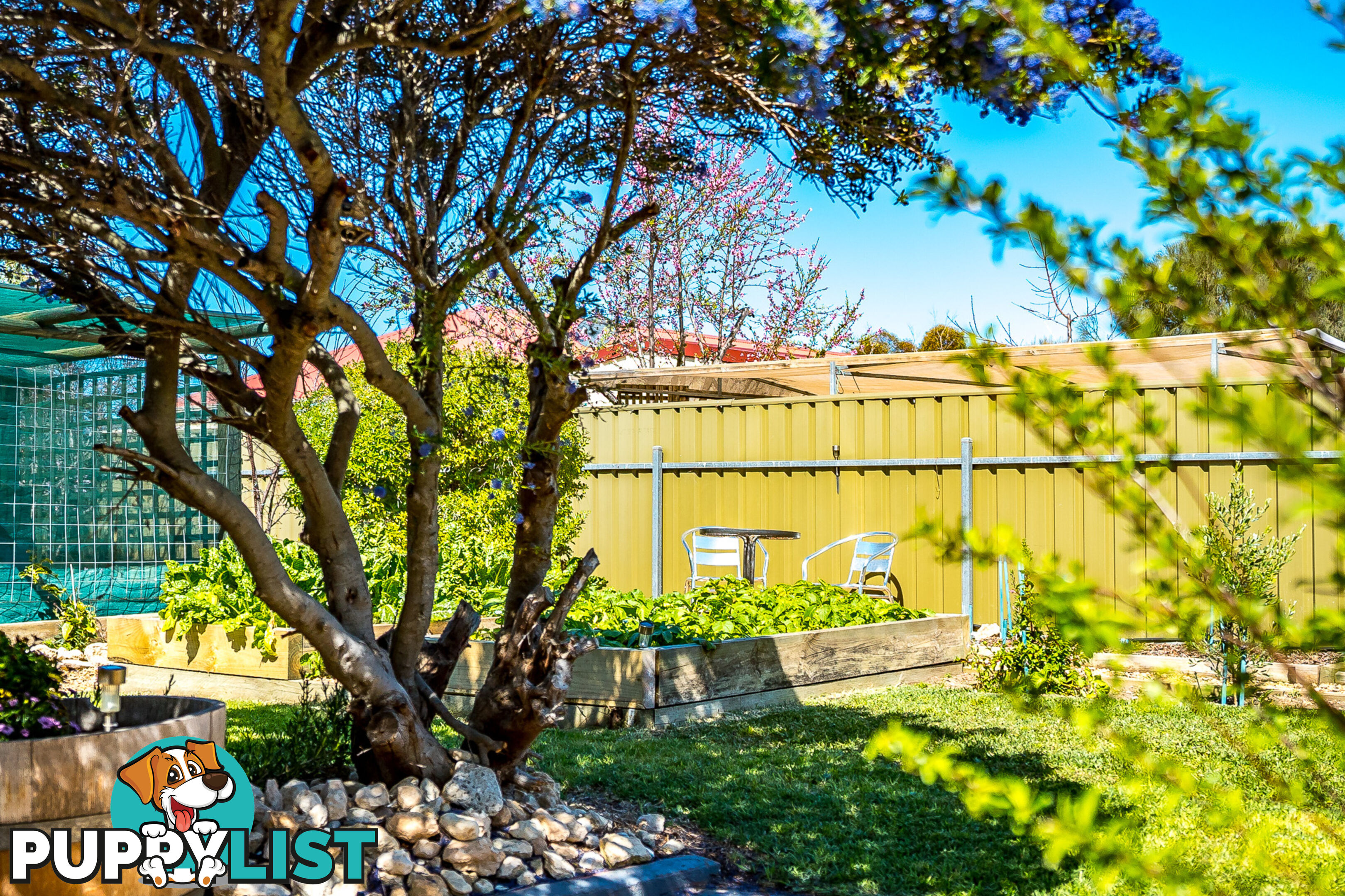 8 Ann Court Goolwa Beach SA 5214