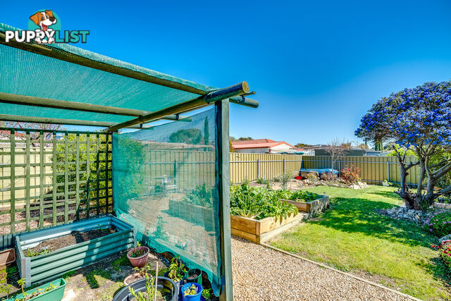 8 Ann Court Goolwa Beach SA 5214