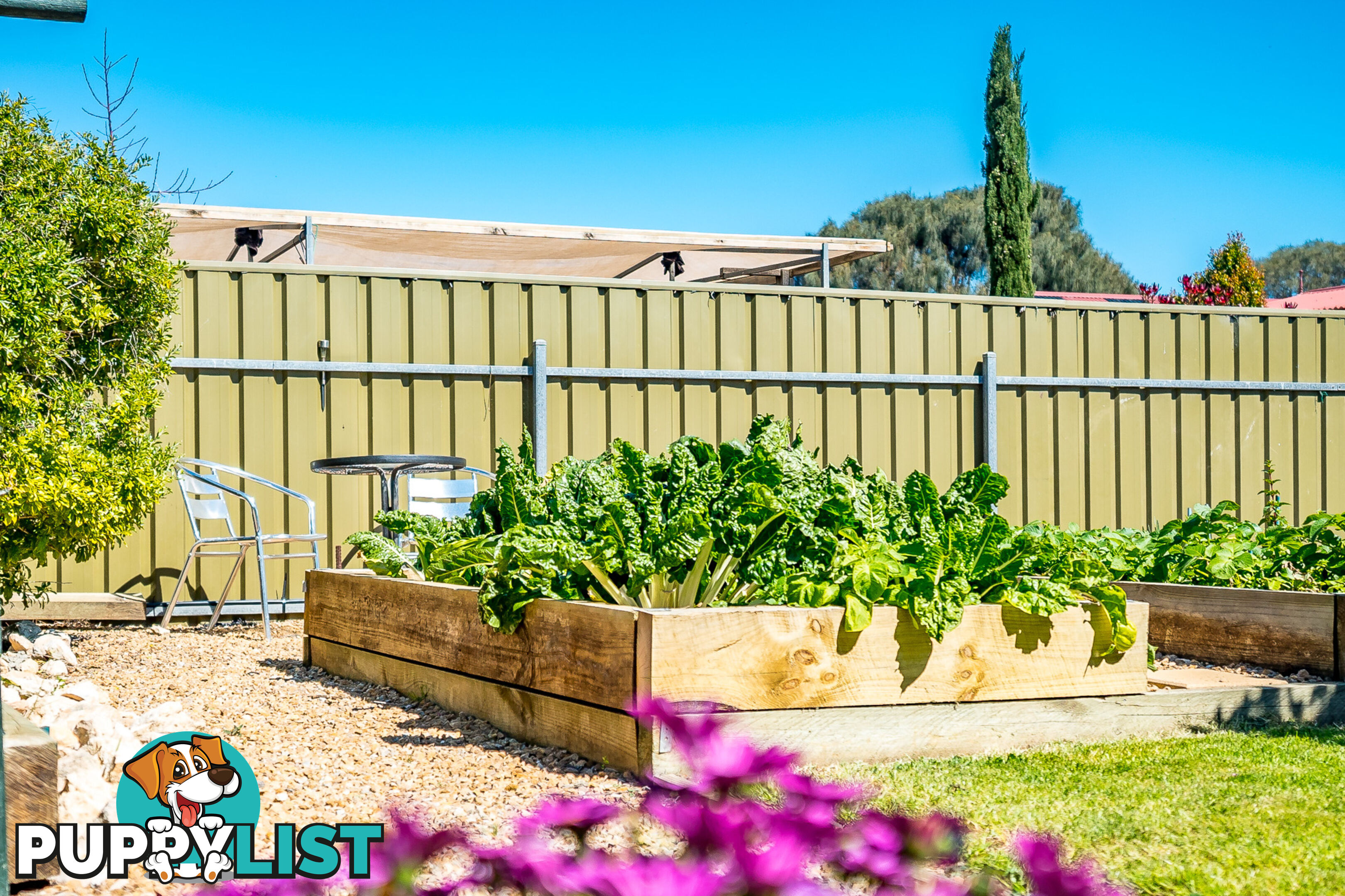 8 Ann Court Goolwa Beach SA 5214