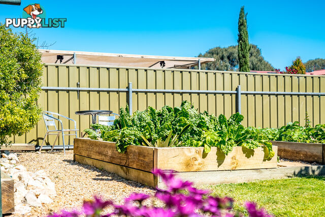 8 Ann Court Goolwa Beach SA 5214