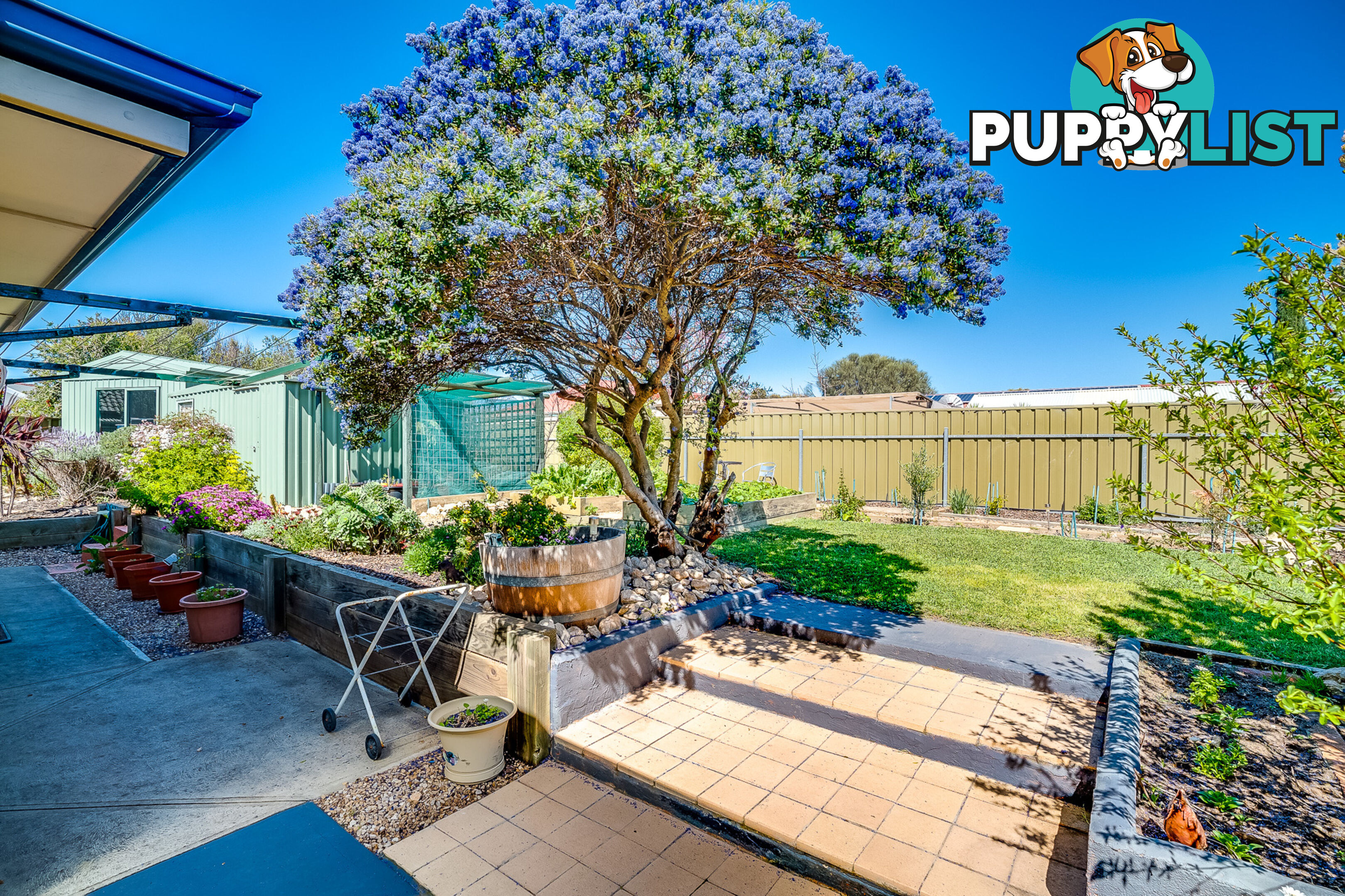 8 Ann Court Goolwa Beach SA 5214