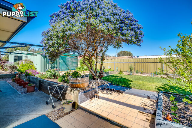 8 Ann Court Goolwa Beach SA 5214