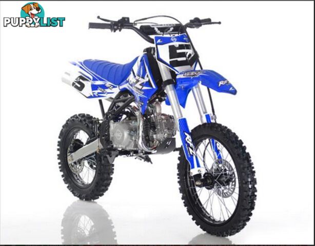 2019 ELSTAR RFZ140 140CC MINIBIKE