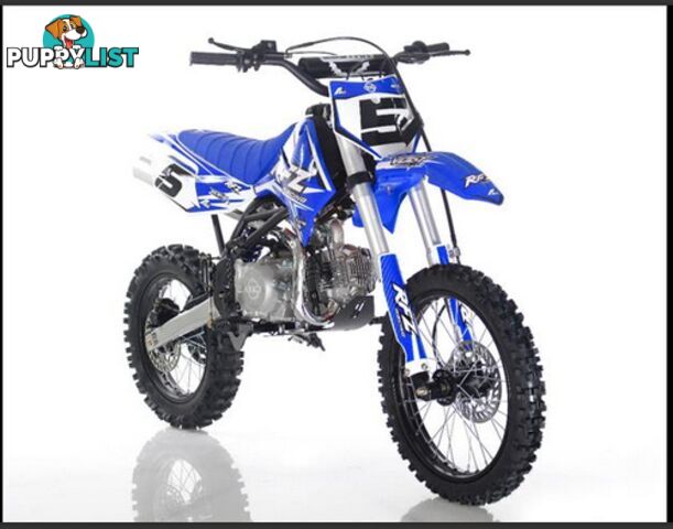 2019 ELSTAR RFZ125 125CC MINIBIKE