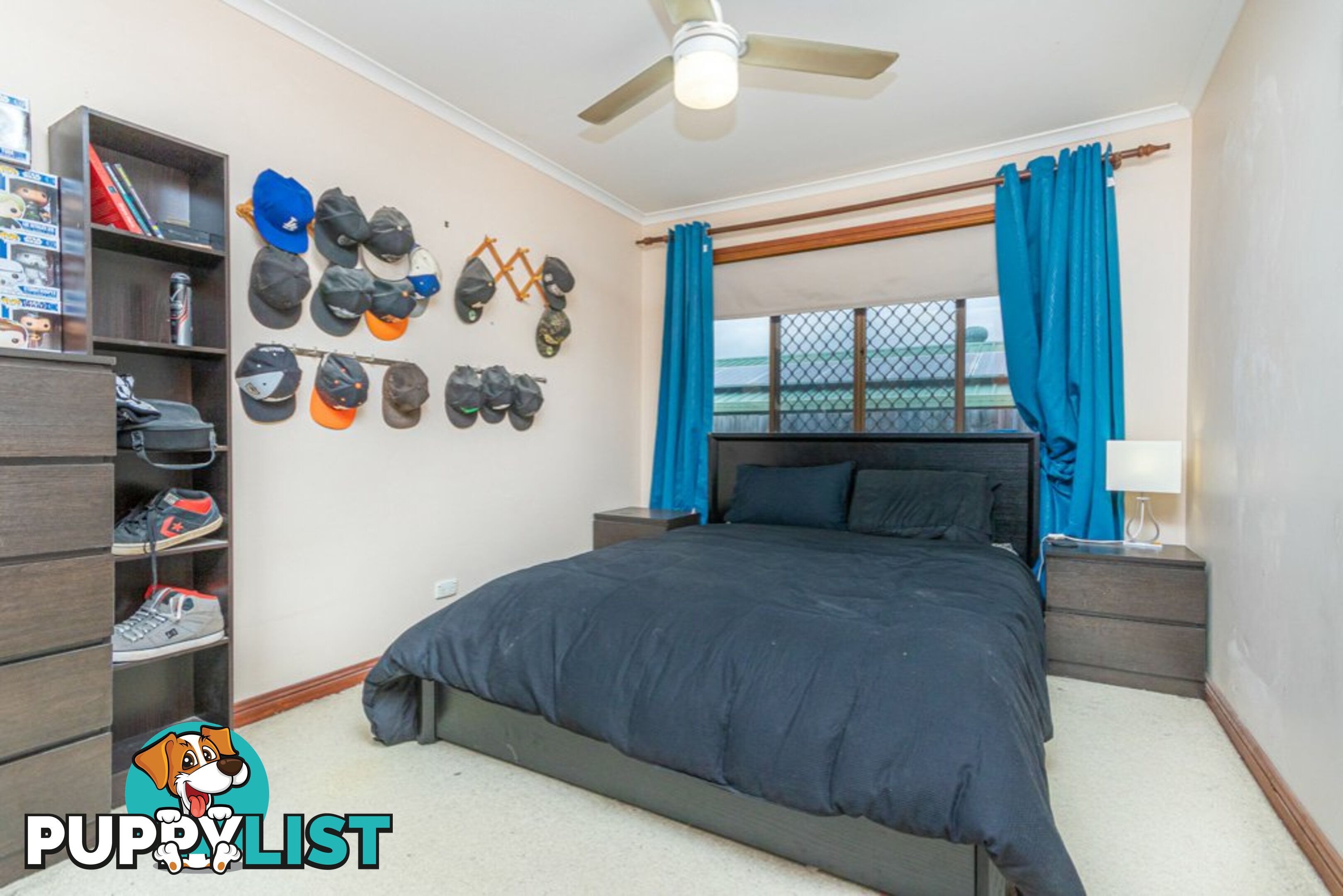 6 St Dominique Court PETRIE QLD 4502