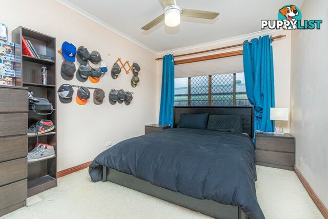 6 St Dominique Court PETRIE QLD 4502