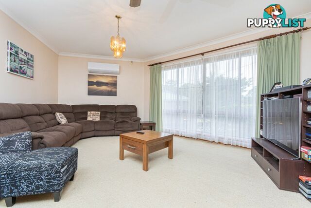 6 St Dominique Court PETRIE QLD 4502