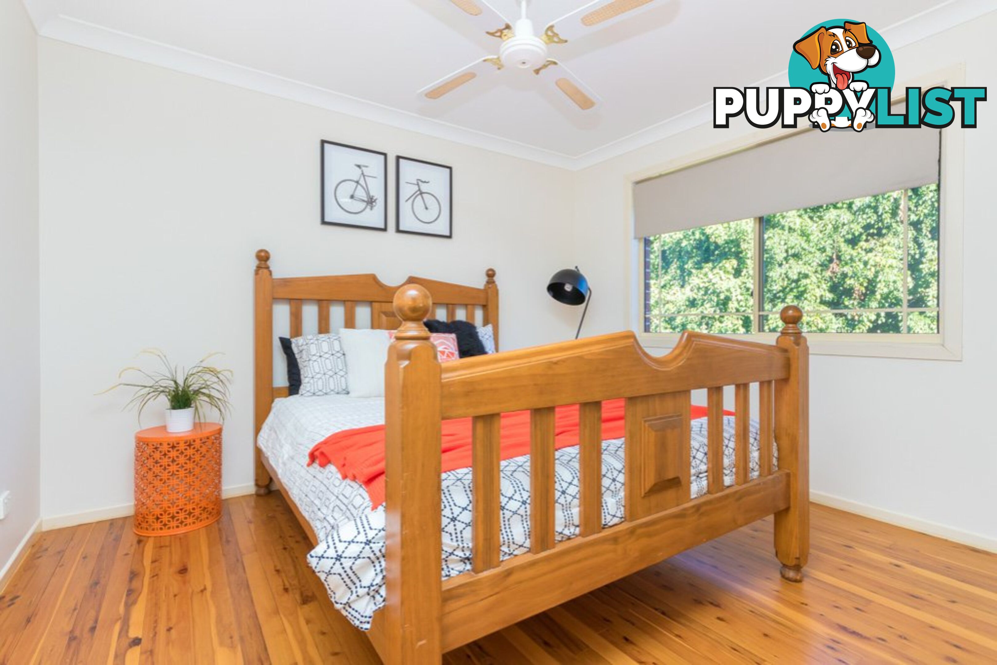 11 Markwell Court PETRIE QLD 4502