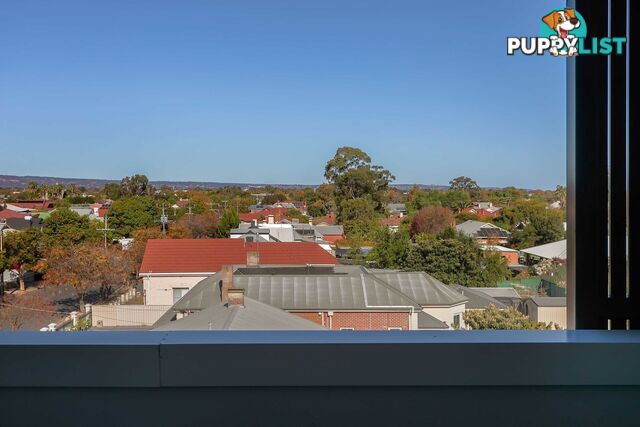 12/2 Rankine Road TORRENSVILLE SA 5031