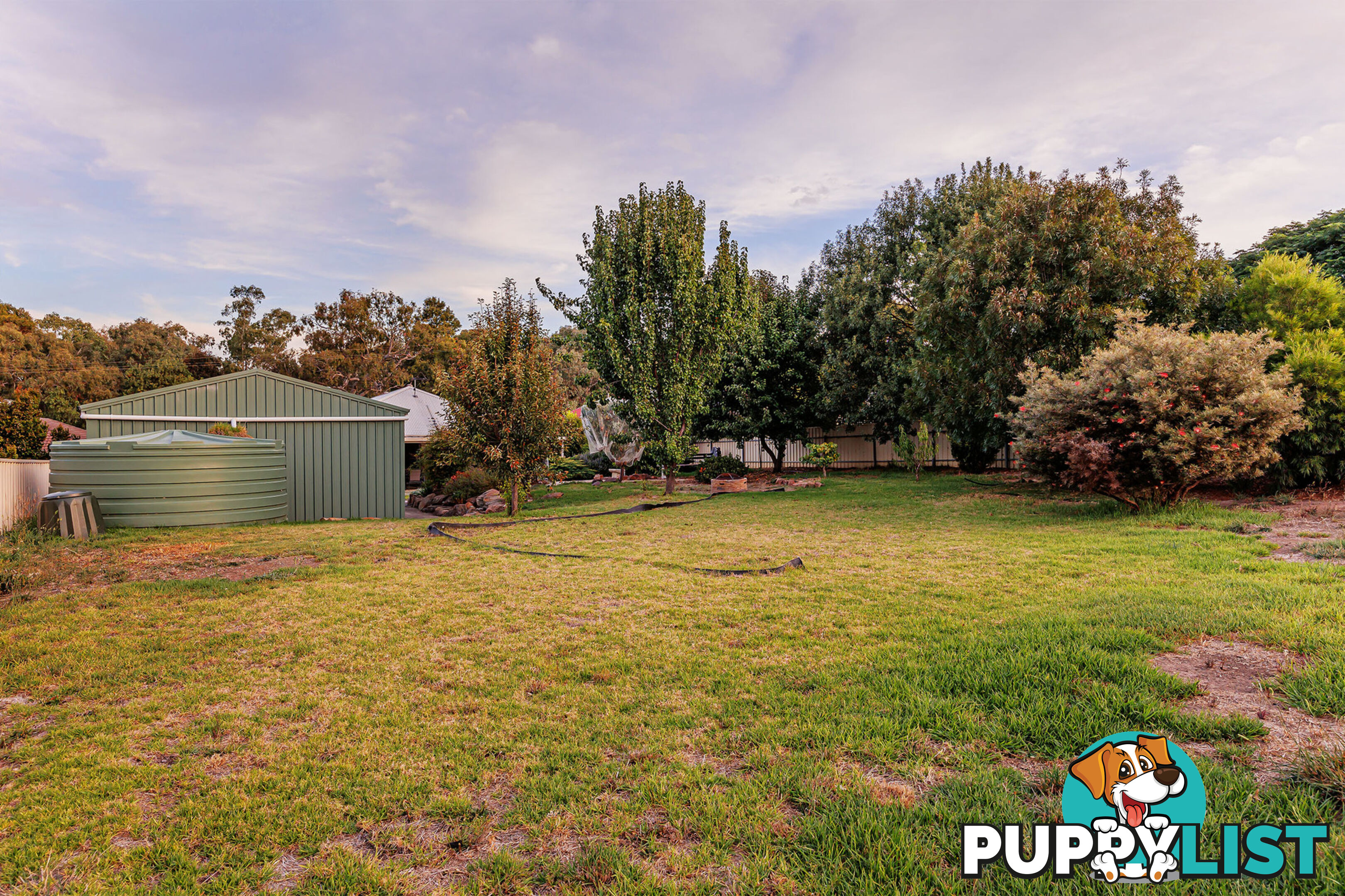 15 Hawthorn Street DAWESLEY SA 5252