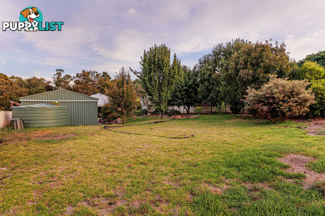 15 Hawthorn Street DAWESLEY SA 5252