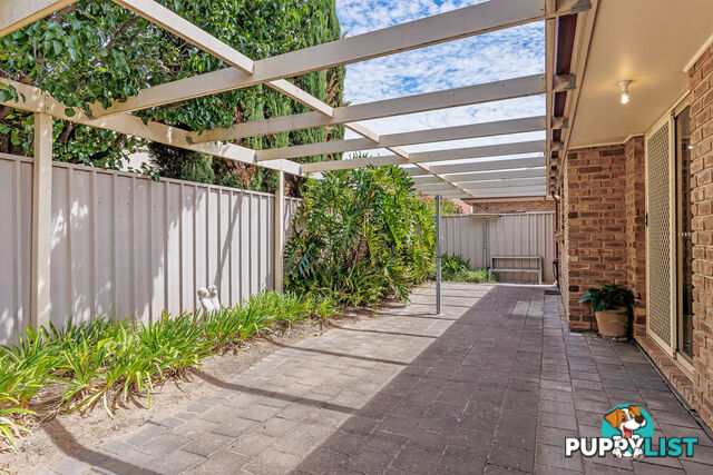 2/23 Seventh Avenue CHELTENHAM SA 5014