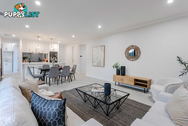 17a Haynes Avenue RICHMOND SA 5033