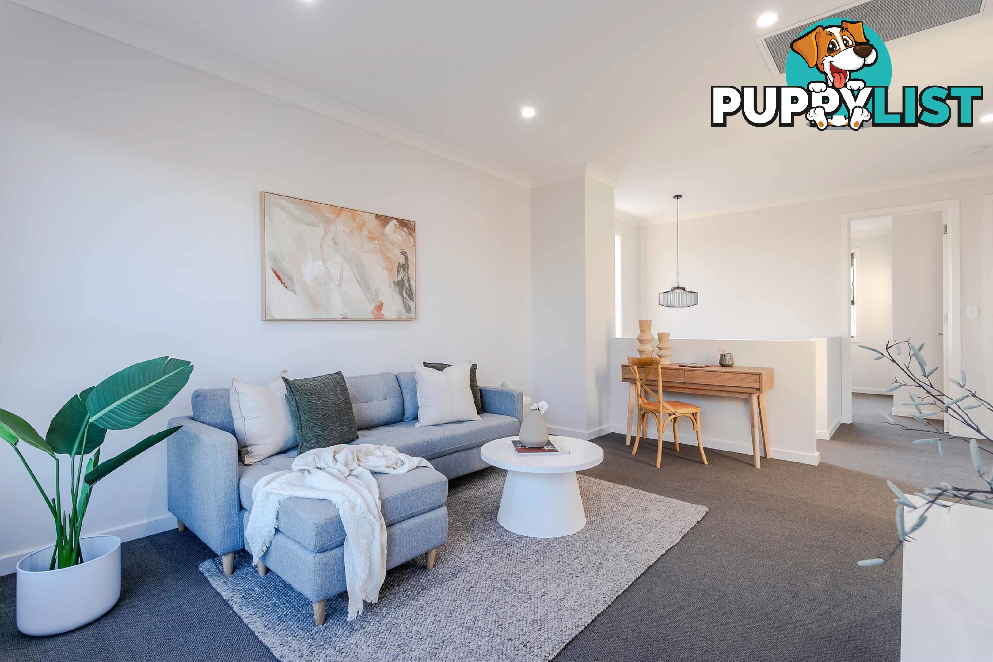 17a Haynes Avenue RICHMOND SA 5033