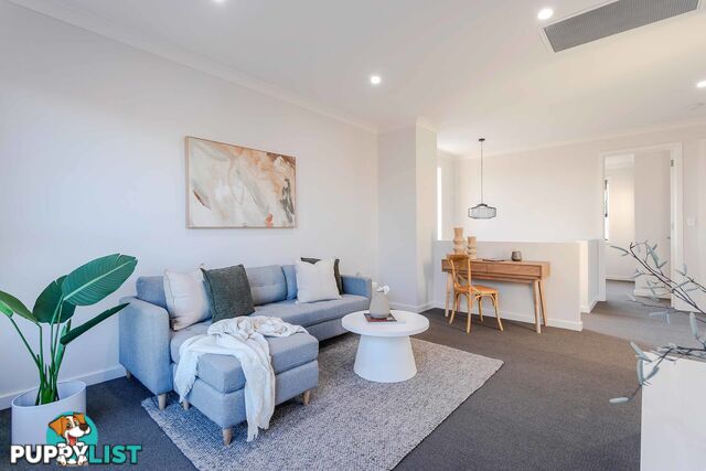 17a Haynes Avenue RICHMOND SA 5033