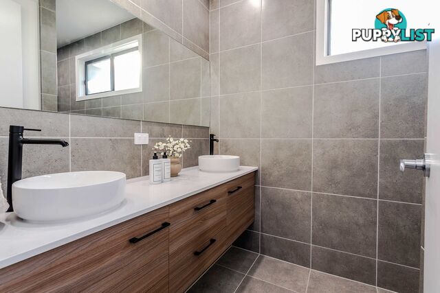 17a Haynes Avenue RICHMOND SA 5033