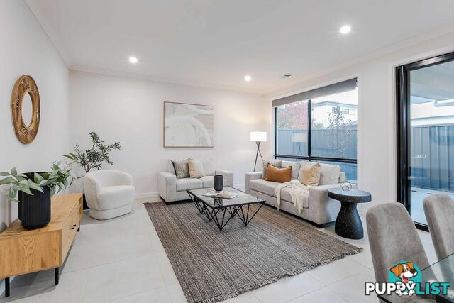 17a Haynes Avenue RICHMOND SA 5033