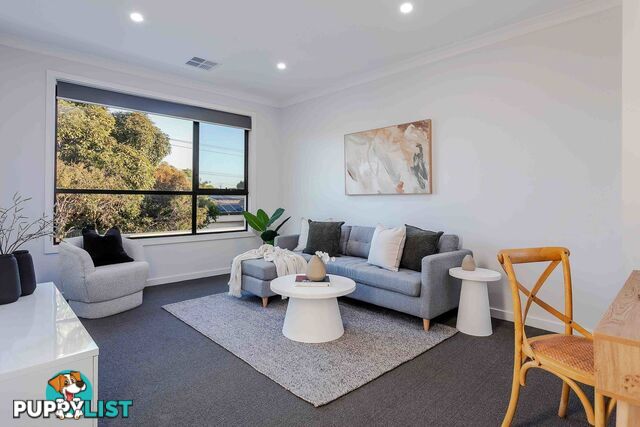 17a Haynes Avenue RICHMOND SA 5033