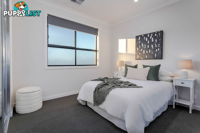 17a Haynes Avenue RICHMOND SA 5033