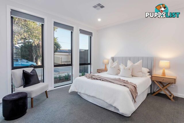 17a Haynes Avenue RICHMOND SA 5033