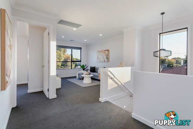 17a Haynes Avenue RICHMOND SA 5033