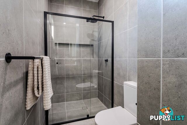 17a Haynes Avenue RICHMOND SA 5033