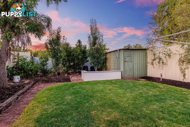 36 Darebin Street MILE END SA 5031