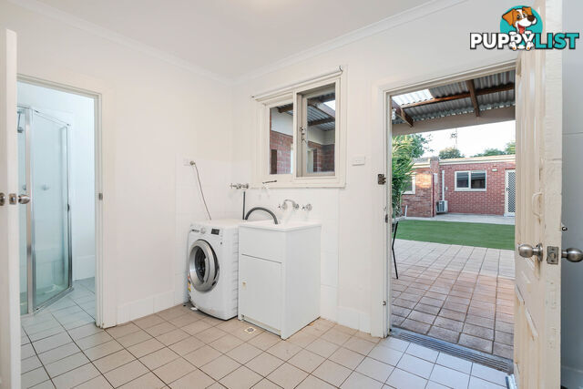 14 Lurline Street MILE END SA 5031