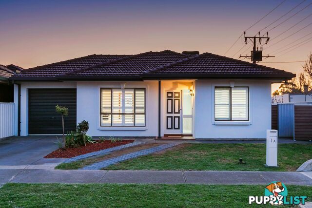 1a Lasscock Avenue FINDON SA 5023