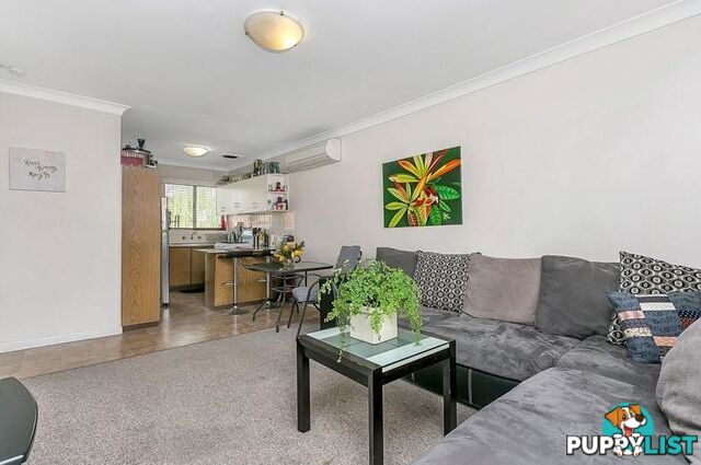 7/1A Darebin Street MILE END SA 5031