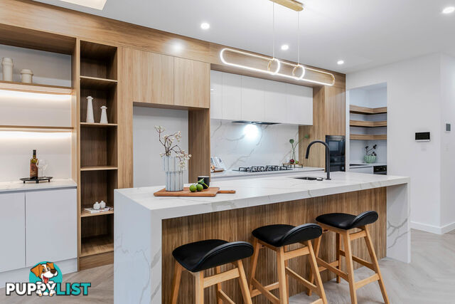 13a Leicester Street WEST RICHMOND SA 5033