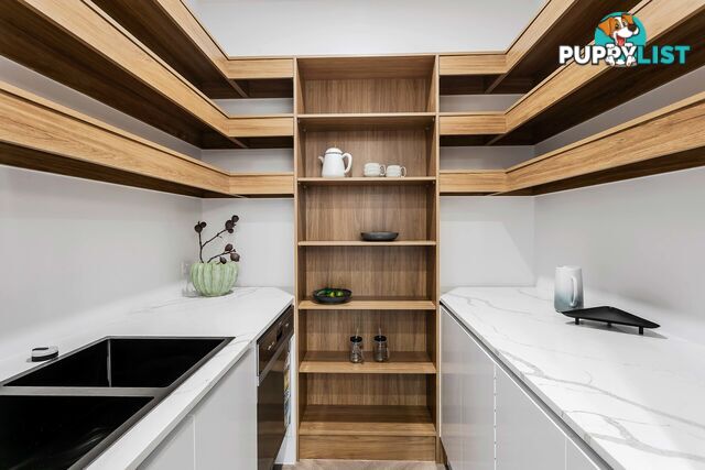 13a Leicester Street WEST RICHMOND SA 5033