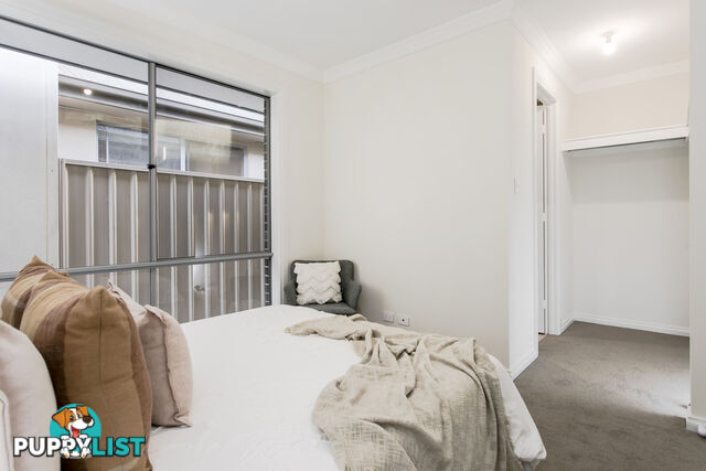 56b Torres Avenue FLINDERS PARK SA 5025