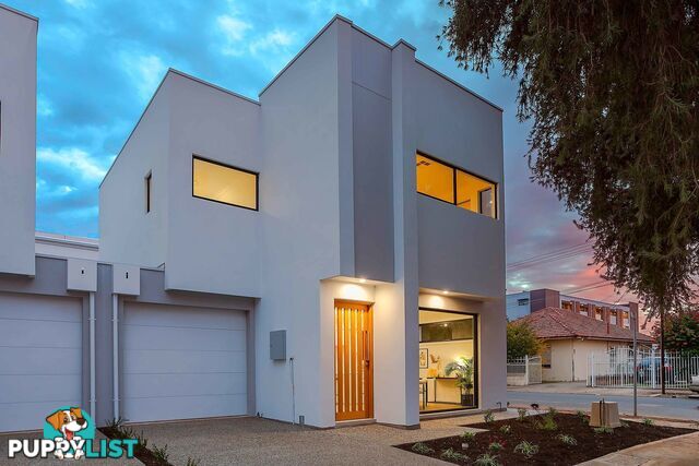 1c Palmyra Avenue TORRENSVILLE SA 5031