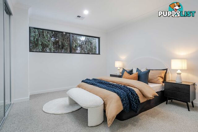 1c Palmyra Avenue TORRENSVILLE SA 5031