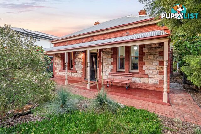 62 Darebin Street MILE END SA 5031