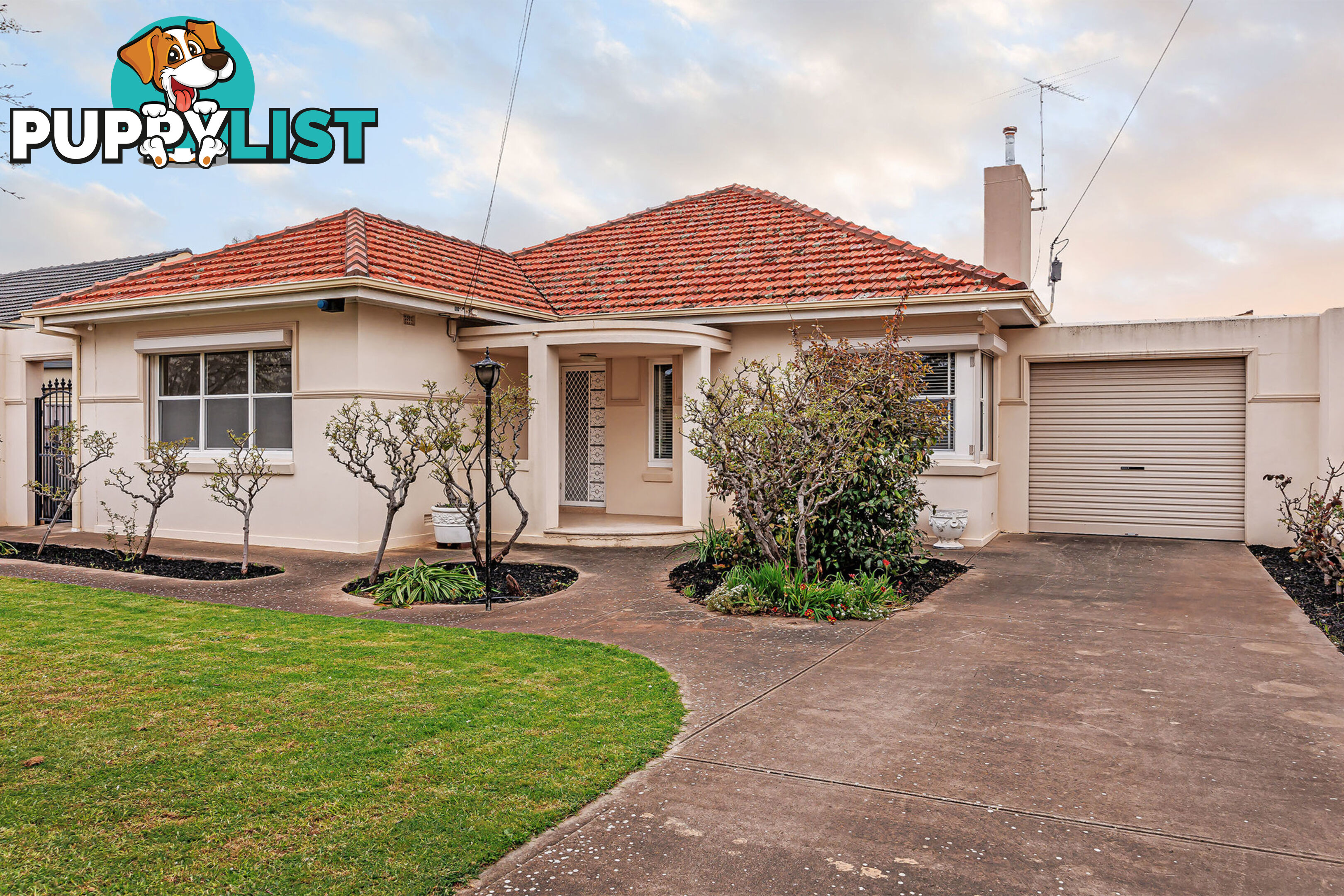 39 White Avenue LOCKLEYS SA 5032