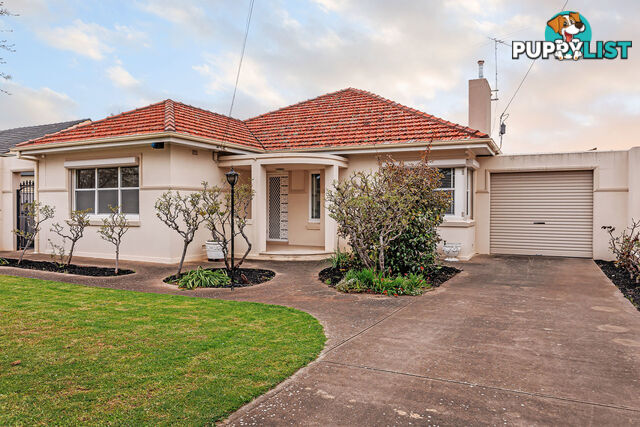 39 White Avenue LOCKLEYS SA 5032