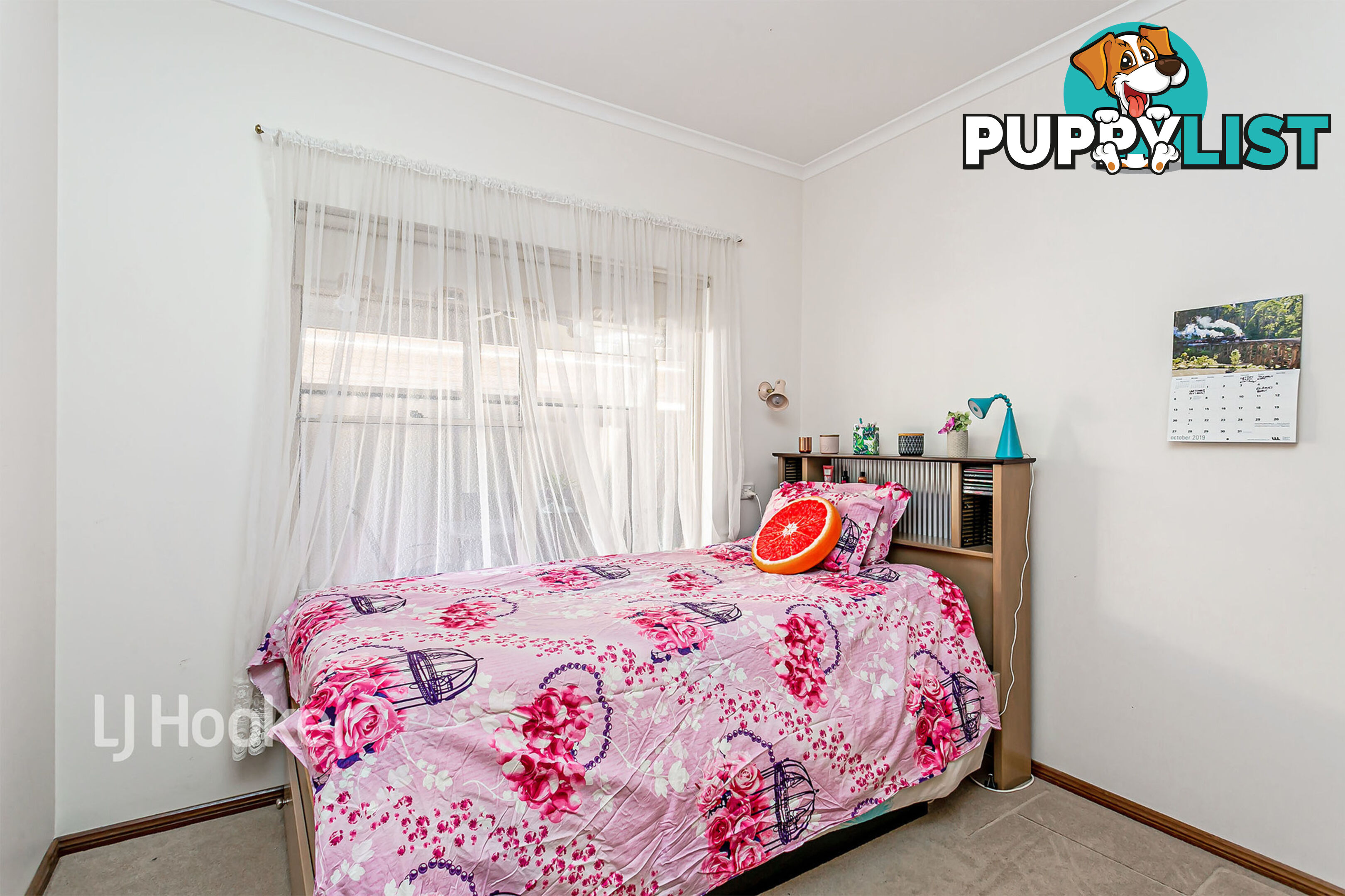 42a Windsor Road GLENUNGA SA 5064